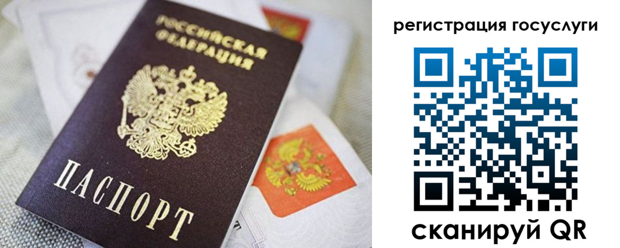прописка паспорт в Фокино